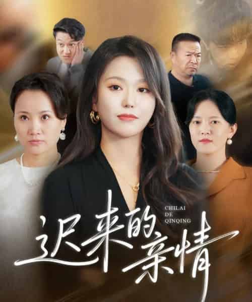 迟来的亲情（45集全）马龙＆魏心宁-搜外项目网