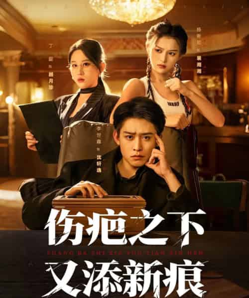 伤疤之下又添新痕（60集全）李世鑫＆丁磊-搜外项目网