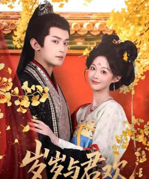 岁岁与君欢（62集全）周航＆吴佳诺-搜外项目网