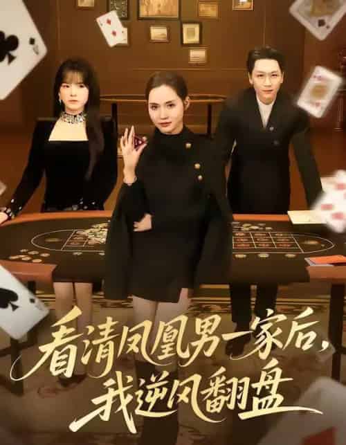 看清凤凰男一家后,我逆风翻盘(70集全)姜昊旻&李苗苗-搜外项目网