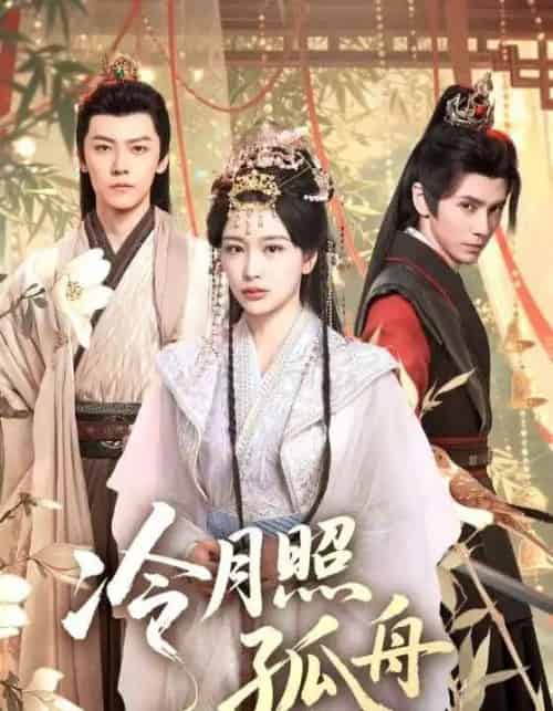 冷月照孤舟(77集全)郭昊钧&姜熙饶-搜外项目网