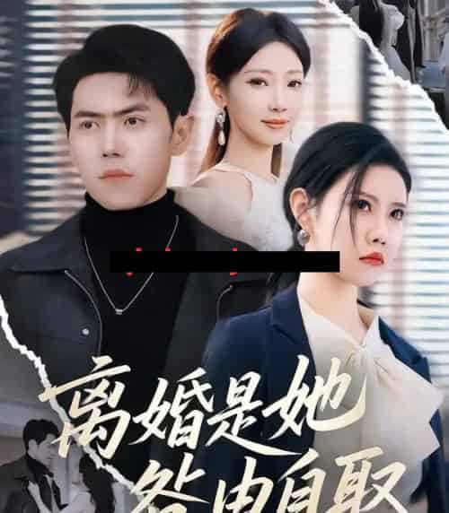 离婚是她咎由自取（60集全）周子琪＆刘嘉文-搜外项目网