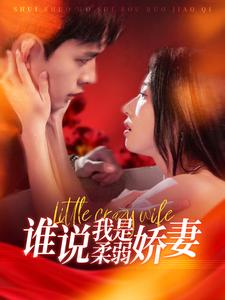 谁说我是柔弱娇妻（99集）乔佳乐＆张启璇-搜外项目网