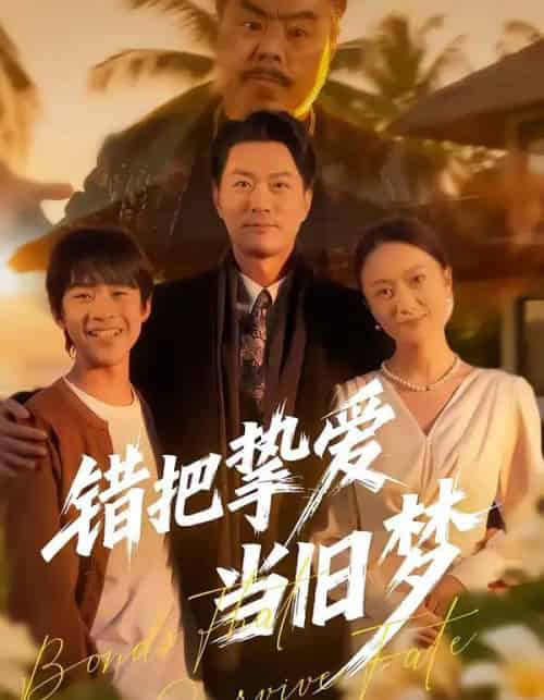 错把挚爱当旧梦（49集全）樊磊＆杨小米-搜外项目网