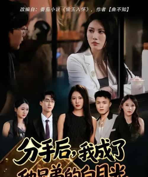 分手后，我成了他兄弟的白月光（80集全）王熳熳＆俊亦-搜外项目网