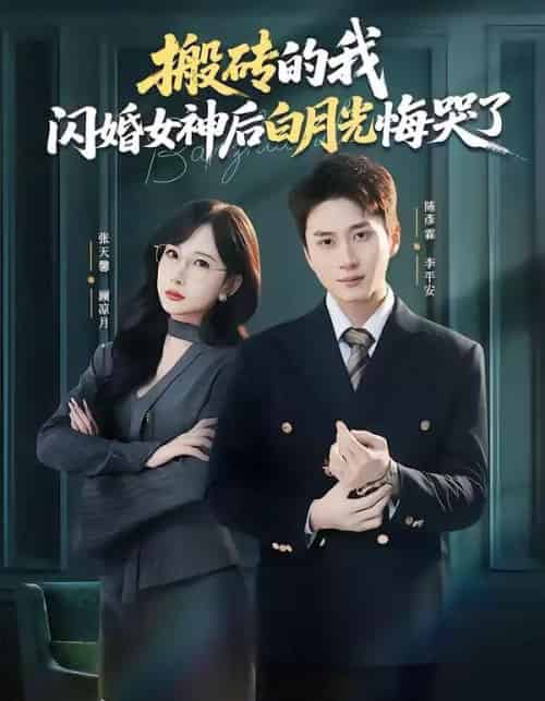 搬砖的我，闪婚女神后白月光悔哭了（80集全）陈彦霖＆张天馨-搜外项目网