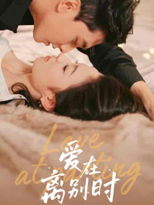 爱在离别时（50集全）韦若辰＆王艺阳-搜外项目网