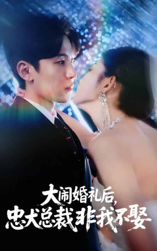 大闹婚礼后忠犬总裁非我不娶 （80集） 刘盈＆王知煜-搜外项目网