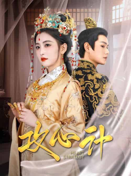 攻心计（100集全）张渊元＆雷笑语＆鞠雯兮-搜外项目网