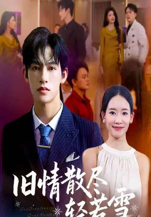 旧情散尽轻若雪 （47集全） 何雨洋＆崔子涵-搜外项目网