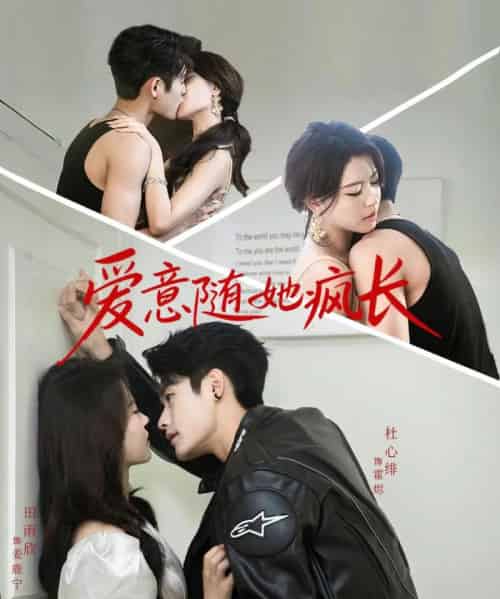 爱意随她疯长（66集）杜心绯＆田雨欣-搜外项目网