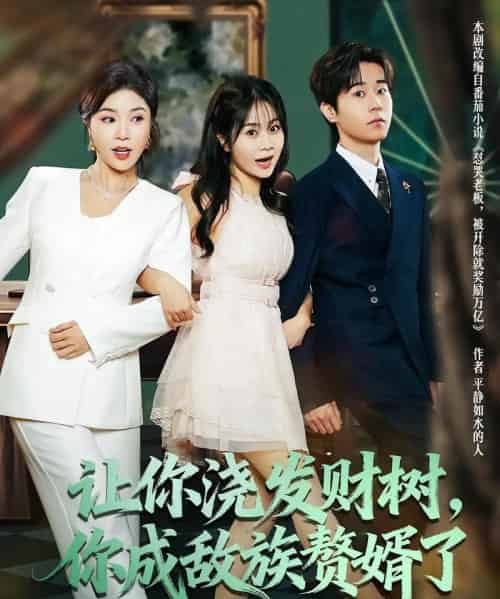 让你浇发财树，你成族敌赘婿了（72集全）雷博昊＆贾予乐-搜外项目网