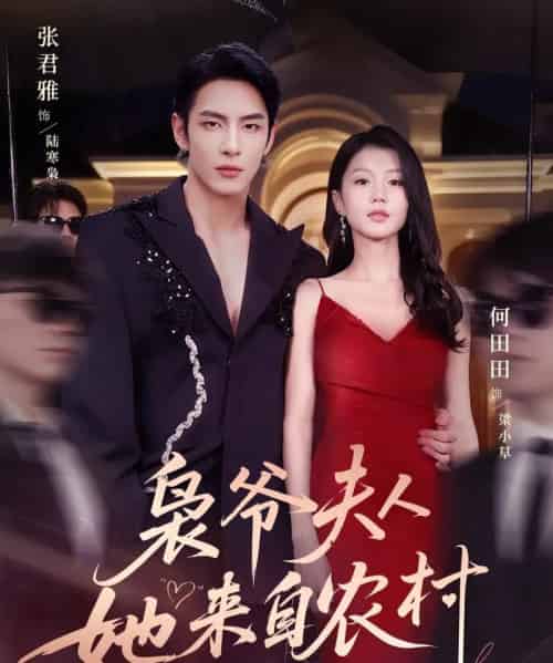 枭爷夫人她来自农村（73集）张君雅＆何田田-搜外项目网