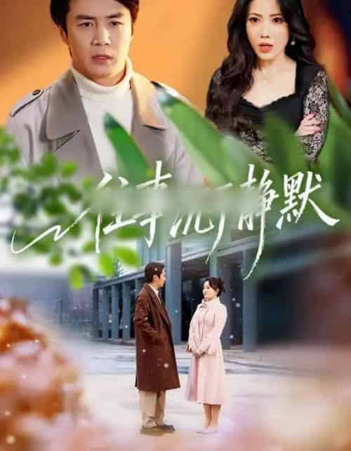 往事沉于静默（70集全）瑞娜＆陈聿修-搜外项目网