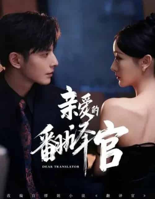 亲爱的翻译官（60集全）孙露鹭＆何聪睿＆温晴-搜外项目网