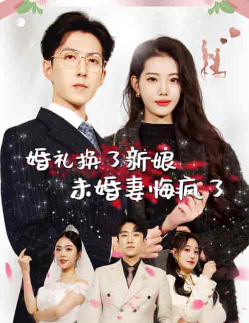 婚礼换了新娘未婚妻悔疯了（30集全）-搜外项目网