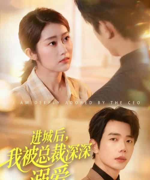 进城后，我被总裁深深溺爱（109集全）何连飞＆崔馨心-搜外项目网