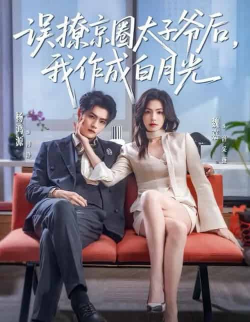 误撩京圈太子爷后，我作成白月光（81集全）杨鸿源＆魏嘉-搜外项目网