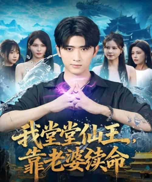 我堂堂仙王，靠老婆续命（82集全）杨妍＆余戬-搜外项目网