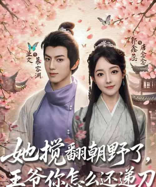 她搅翻朝野了，王爷你怎么还递刀（80集全）业文＆郭鑫蕊-搜外项目网