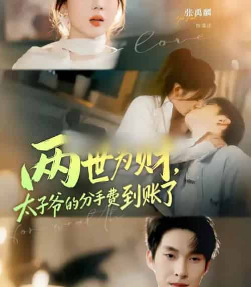 两世为财,太子爷的分手费到账了(61集全)徐兰迪&张禹麟-搜外项目网