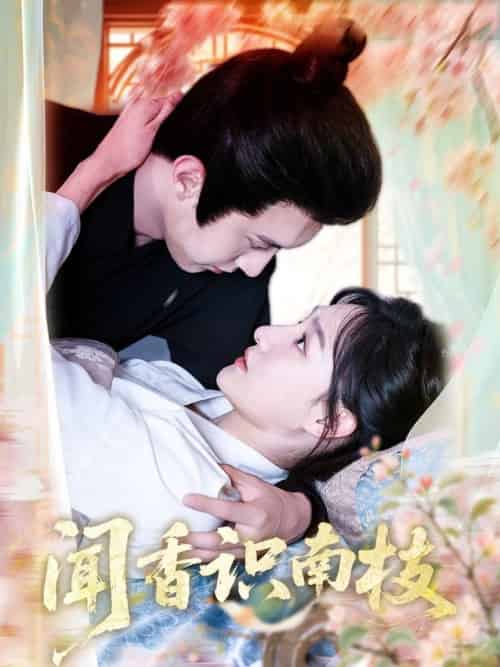 闻香识南枝(60集全)李羽彤&希尔力-搜外项目网