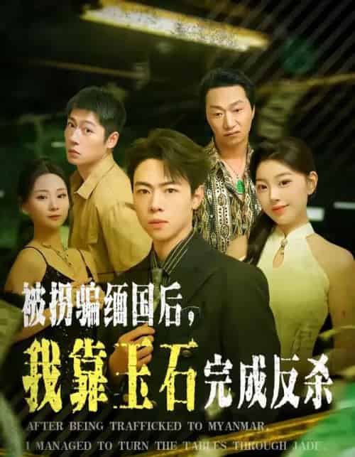 被拐骗缅国后，我靠玉石完成反杀（80集全）魏星亦＆张曼-搜外项目网