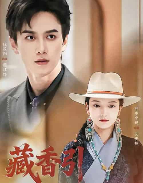 藏香引（63集全）陈政阳＆拥中卓玛-搜外项目网