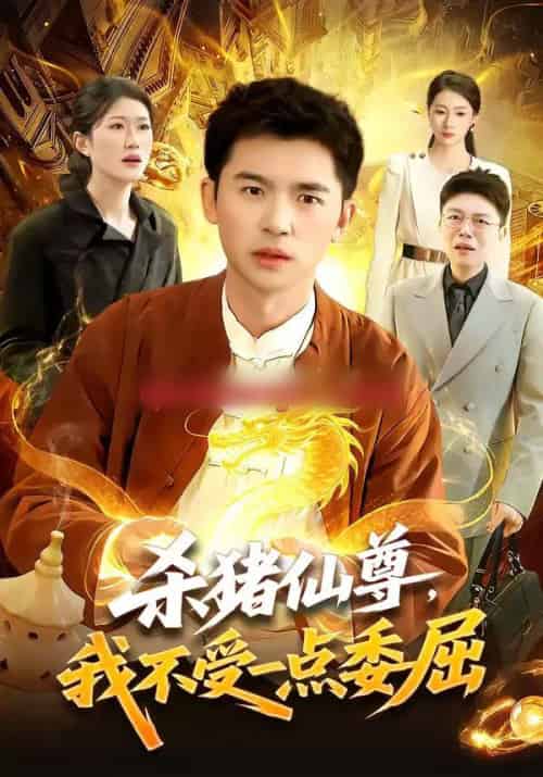 杀猪仙尊，我不受一点委屈（84集全）杨力＆李以可-搜外项目网