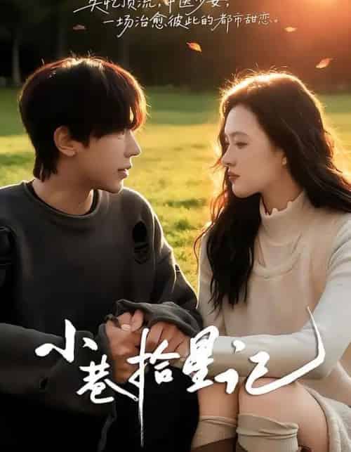 小巷拾星记（65集全）彭天瑞＆陈秋菊-搜外项目网