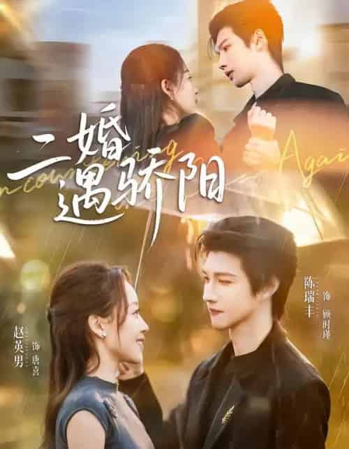 二婚遇骄阳(50集全)陈瑞丰&赵英男-搜外项目网