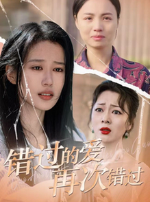 错过的爱再次错过（30集全）-搜外项目网
