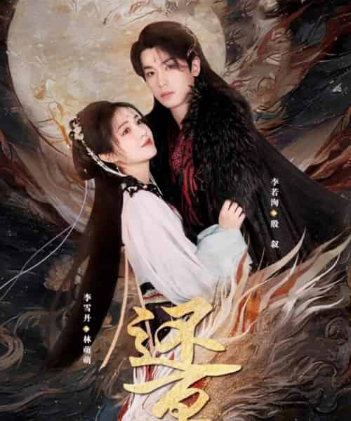 还京(80集)李雪丹&李若洵-搜外项目网