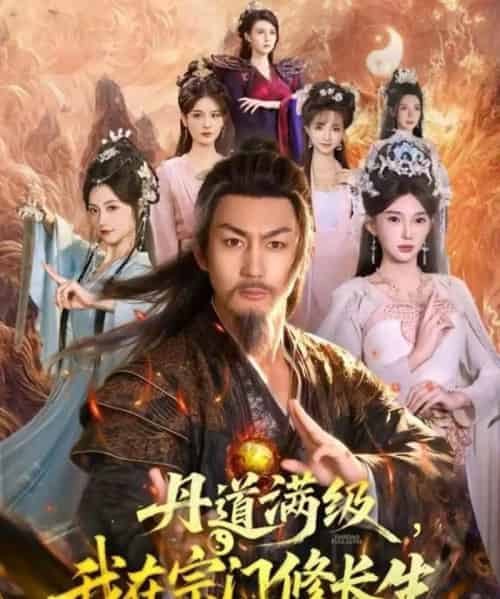 丹道满级,我在宗门修长生(80集全)史元庭&陈诗诗-搜外项目网