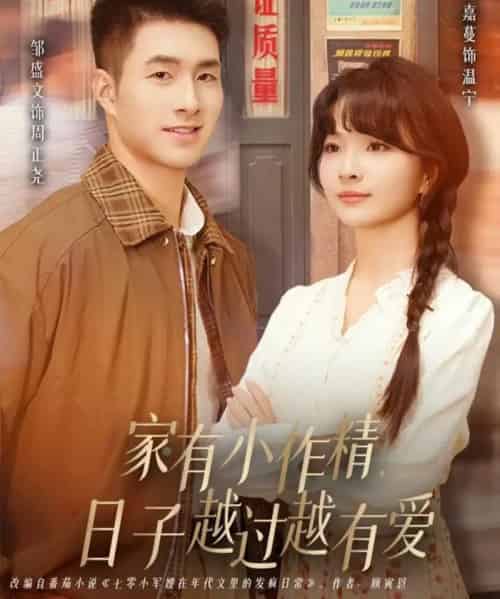 家有小作精日子越过越有爱（80集全）刘嘉蔓＆邹盛文-搜外项目网