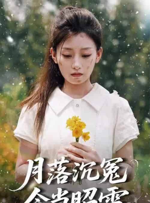 月落沉冤今当昭雪(60集)魏浩然&王倩-搜外项目网