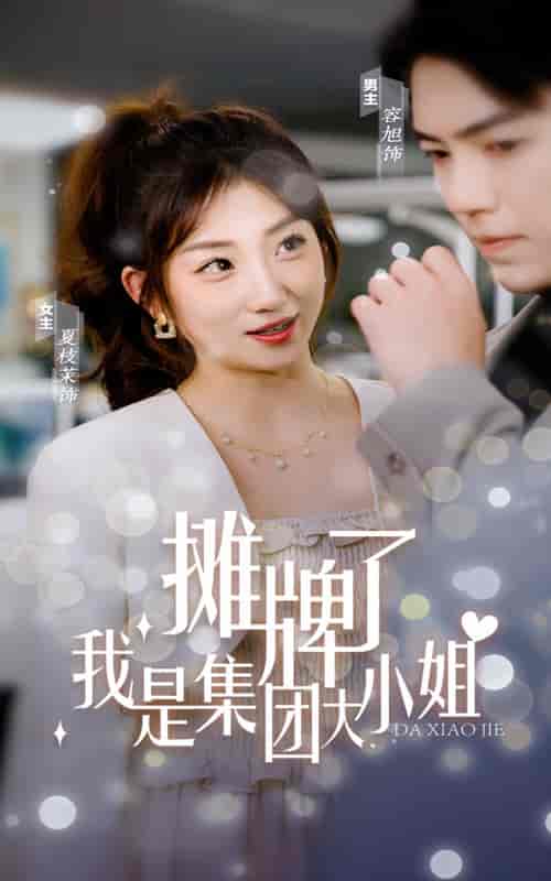 摊牌了，我是集团大小姐（100集）-搜外项目网