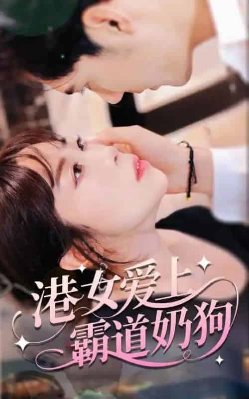 港女爱上霸道奶狗(80集)陈静-搜外项目网