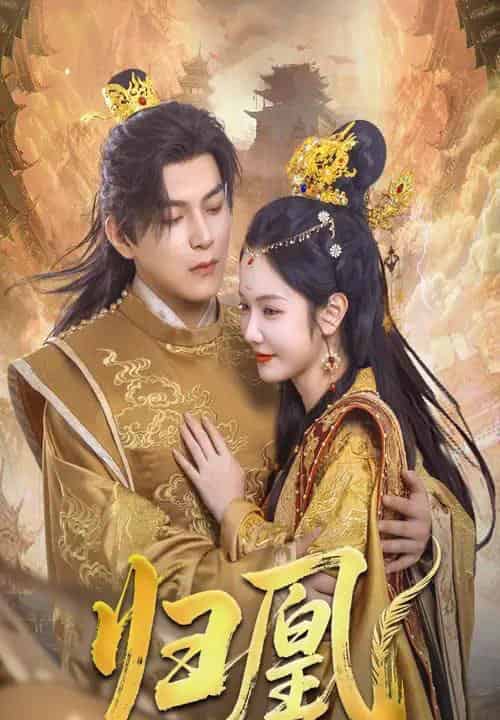 归凰（72集）王昱凯＆林妍柔-搜外项目网