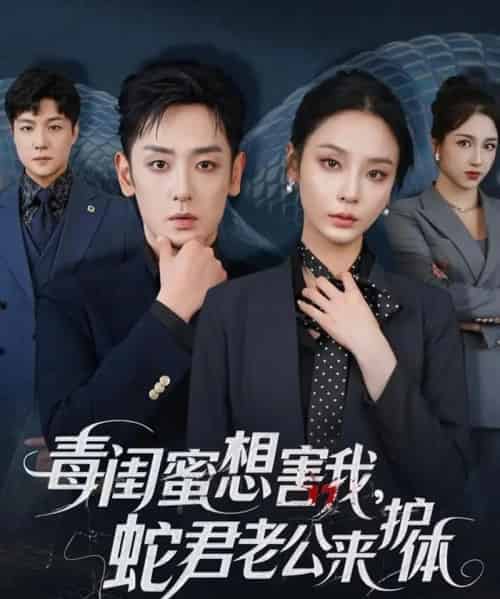 毒闺蜜想害我蛇君老公来护体(55集)向婧怡&向昊-搜外项目网