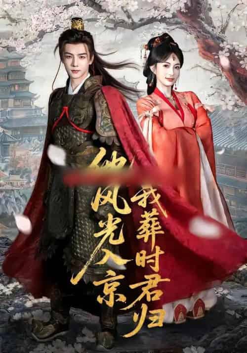 他风光入京我葬时君归(62集全)黄子淇&宣宣-搜外项目网