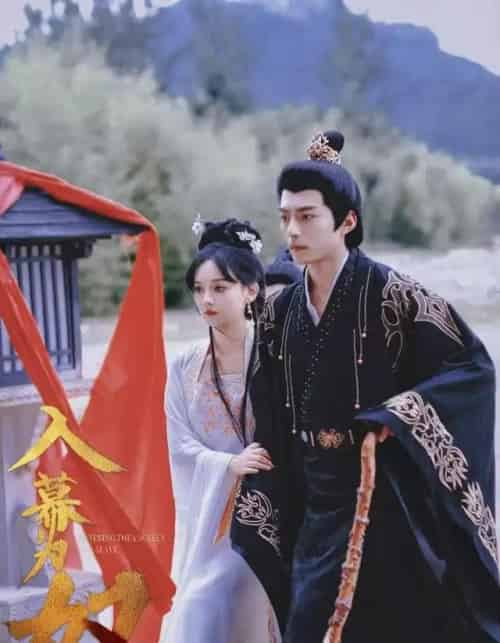 入幕为奴（61集全）尚璇＆苏钧禾-搜外项目网