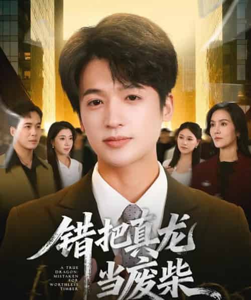 错把真龙当废柴(71集全)博之&张翎月-搜外项目网