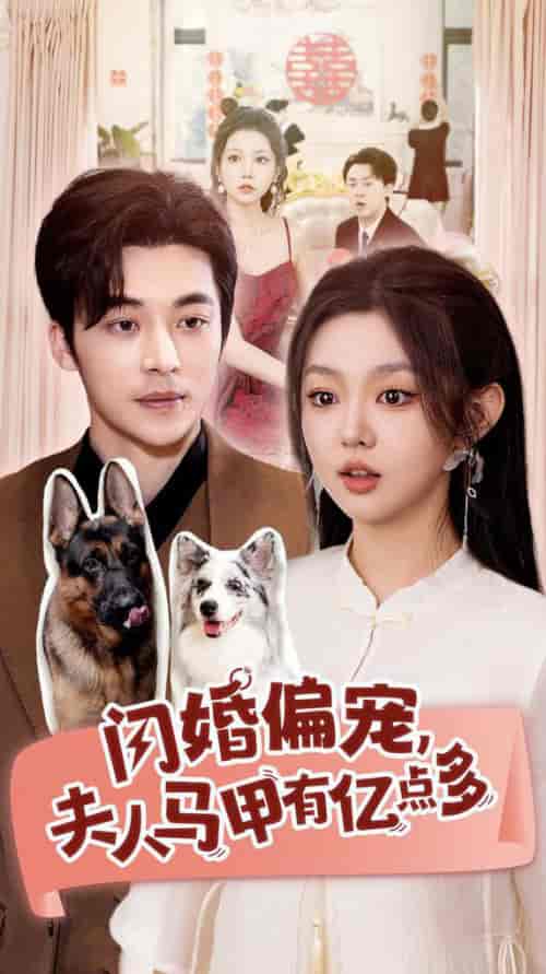 闪婚偏宠夫人马甲有亿点多(85集全)常高明&李柯以-搜外项目网