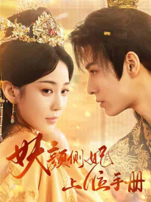 妖颜侧妃上位手册(59集全)黄云云-搜外项目网