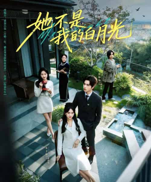 她不是我的白月光(79集全)曾帅翔&朱予彤-搜外项目网