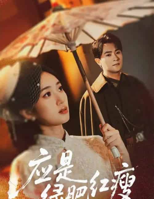 应是绿肥红瘦(111集全)杨文昊&史小叶-搜外项目网