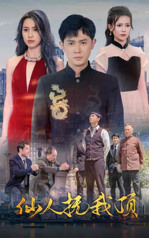 仙人抚我顶（80集）王昭-搜外项目网