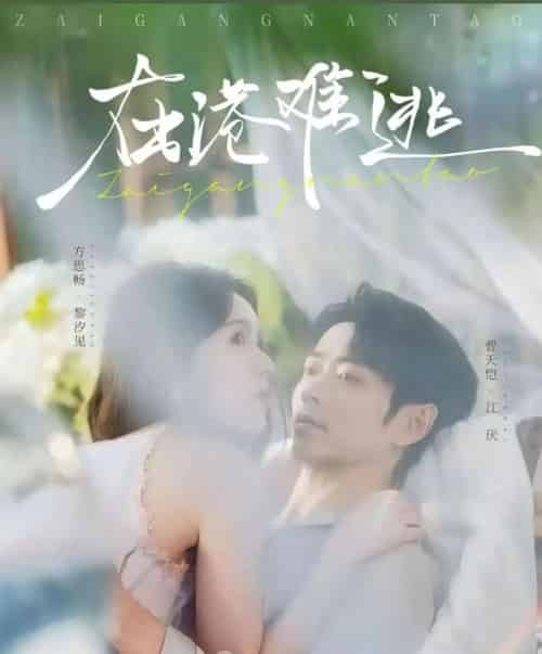 在港难逃（74集全）曹天恺＆方思畅-搜外项目网