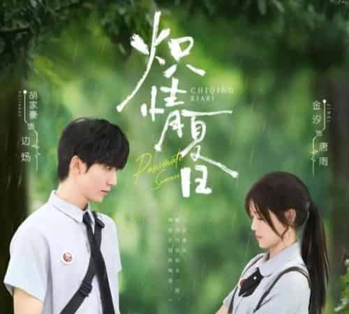 炽情夏日（80集）胡家豪＆金汐-搜外项目网